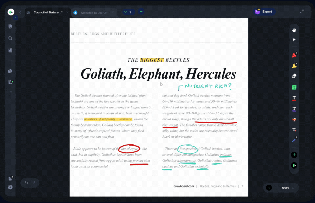 groupannotations-gif.gif